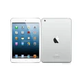 Apple iPad mini Wi-Fi + Cellular